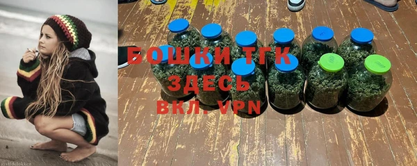 дживик Арсеньев